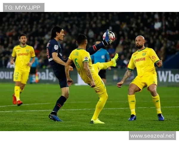 圣埃蒂安与南特激战在即谁能在法甲赛场上笑到最后